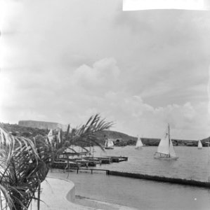 Koninklijk bezoek aan Curaçao, Vlootschouw Curacaose zeilverenigingen, Bestanddeelnr 918-2660
