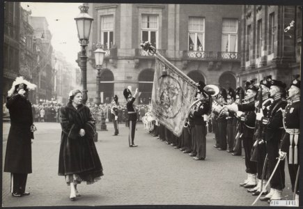 Koninklijk huis, prinsen, koninginnen, recepties, erewachten, vaandels, muziekko, Bestanddeelnr 016-1141