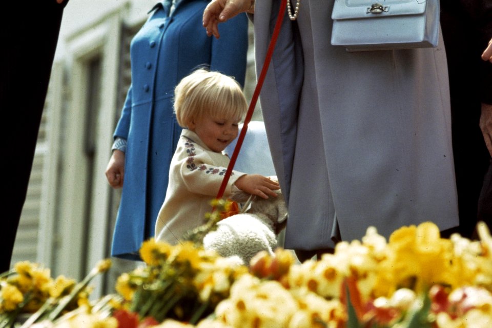 Koninginnedag Prins Willem Alexander met ballon, Bestanddeelnr 254-8472
