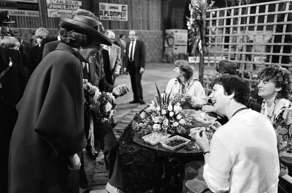 Koninginnedag 1985, Anna Paulowna Koningin Beatrix bij demonstratie tot standk, Bestanddeelnr 933-3098