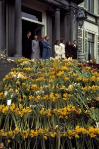 Koninginnedag HM 61 jaar , defile Paleis nr. 7a Surinaamse vrouwen wandelen , Bestanddeelnr 254-8642