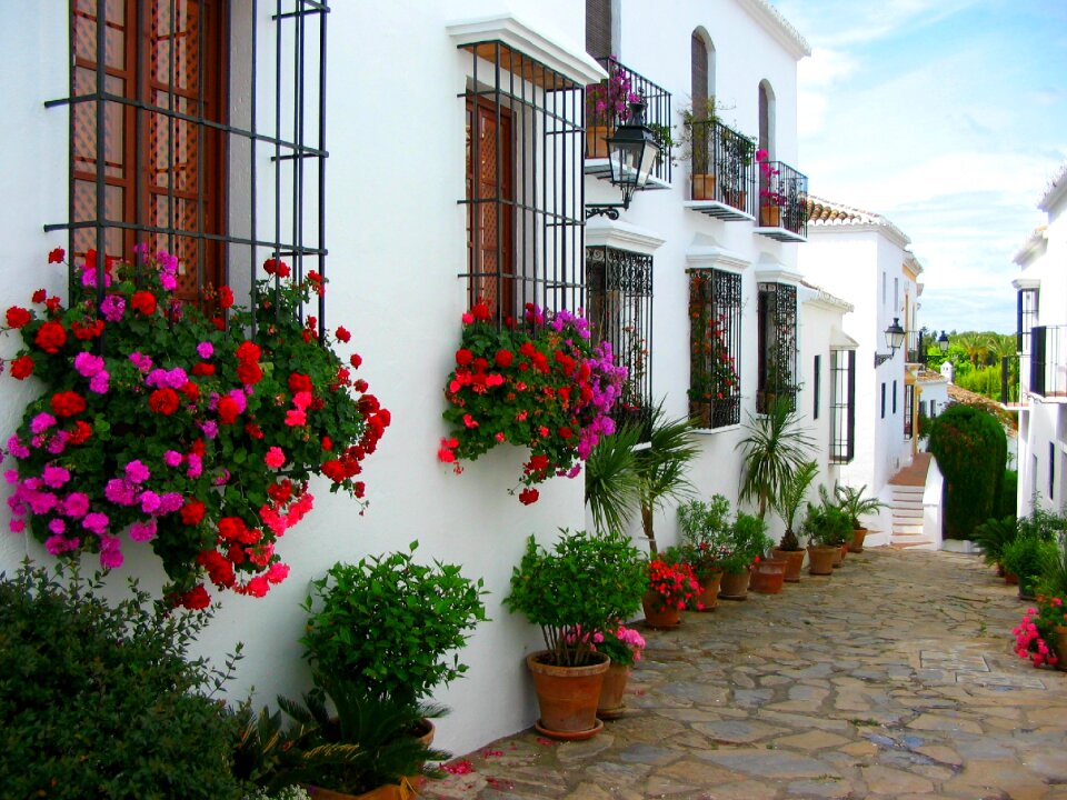 Spain street flowers