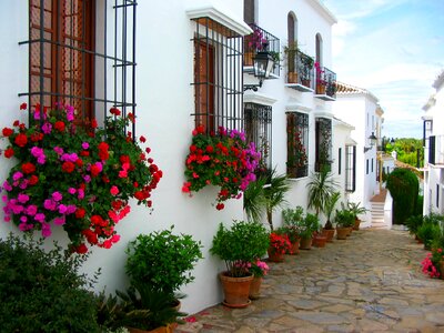 Spain street flowers