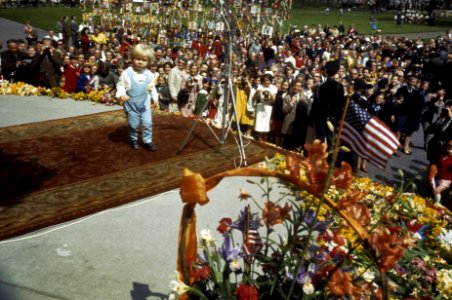 Koninginnedag Prins Willem Alexander, Bestanddeelnr 254-8479