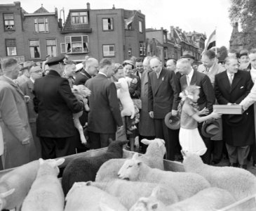Koninklijk bezoek aan Leiden. Koningin Juliana op de Schapenmarkt, Bestanddeelnr 906-4765