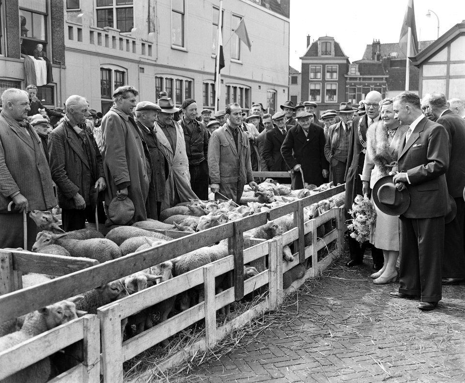 Koninklijk bezoek aan Leiden. Koningin Juliana op de Schapenmarkt, Bestanddeelnr 906-4761