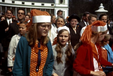 Koninginnedag publiek in tuin, Bestanddeelnr 254-8491