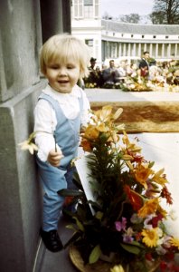 Koninginnedag Prins Willem Alexander, Bestanddeelnr 254-8474