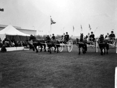 Koningin Juliana bracht bezoek aan Frisiana te Leeuwarden De koningin bracht be, Bestanddeelnr 915-5386 photo