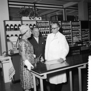 Koningin Juliana brengt een bezoek aan de Ziekenfondsraad, Bestanddeelnr 911-3954