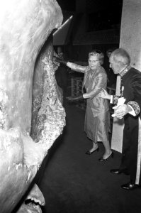 Koningin Juliana duwt een dikke deur open, Bestanddeelnr 925-1320