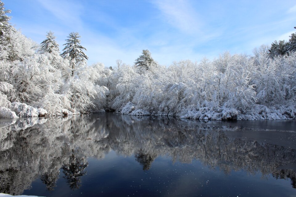 Arcadia rhode island forest
