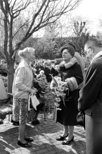 Koningin Juliana brengt een bezoek aan Sittard, Bestanddeelnr 925-5551