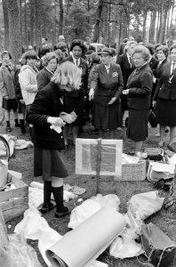 Koningin Juliana bracht bezoek aan Nederlandse Padvinderstersgilde te Ommen, Har, Bestanddeelnr 919-2078