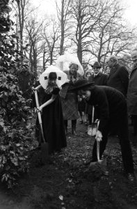 Koningin Juliana kijkt naar kinderen in Zeeuwse klederdracht die een boom plante, Bestanddeelnr 930-1798