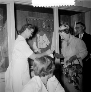 Koningin Juliana bij de Van de Wouden Stichting, Bestanddeelnr 907-3522