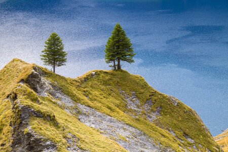 Firs hill lake oeschinen photo