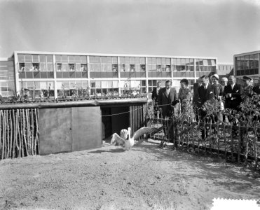 Koningin Juliana en prins Bernhard bezoeken het centraal laboratorium van de blo, Bestanddeelnr 910-6595