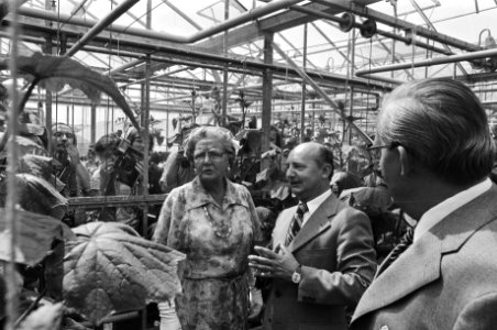 Koningin Juliana brengt werkbezoek aan het Westland, aankomst in Naaldwijk en be, Bestanddeelnr 928-6852
