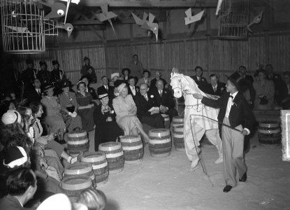Koningin Juliana in het kindercircus met een jongleur, Bestanddeelnr 903-5571