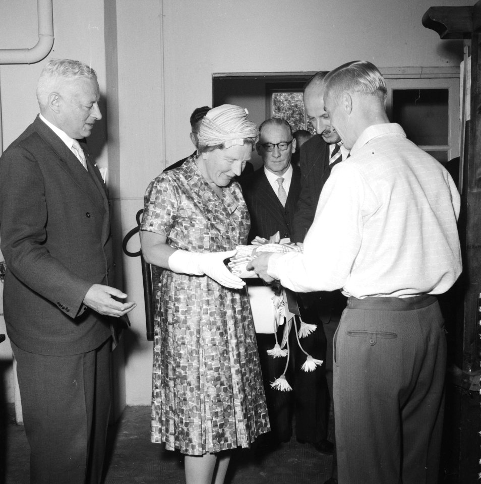Koningin Juliana in Twente, Ziekenfondsraad, Bestanddeelnr 911-3956