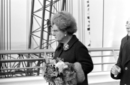Koningin Juliana bij het openen van de Oosterscheldebrug, Bestanddeelnr 918-5661