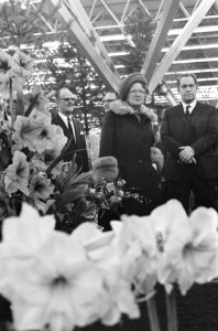 Koningin Juliana op de tentoonstelling, Bestanddeelnr 925-4919