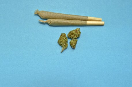 Mj cannabis drug