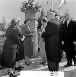 Koningin Juliana bij de Van de Wouden Stichting, Bestanddeelnr 907-3524