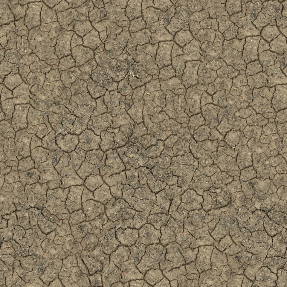 Ground earth cracks photo