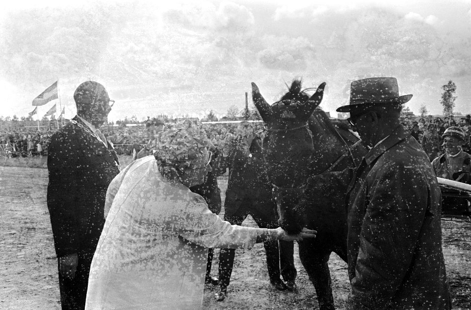 Koningin Juliana bezoekt Zuid Hollandse gemeenten, in Nootdorp werd voor Hare Ma, Bestanddeelnr 917-8091