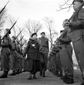 Koningin Wilhelmina inspecteert een een erewacht van een bataljon van het Colds…, Bestanddeelnr 900-4121