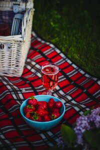 Food fruit outdoors photo