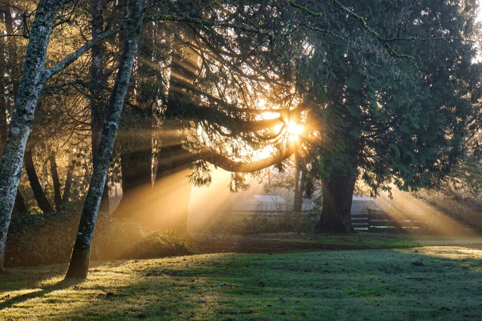 Sunrays outdoors country