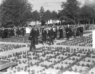 Koningin Juliana onthult een oorlogsmonument te Putten, Bestanddeelnr 903-6344