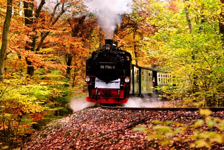 Locomotive autumn steam railway