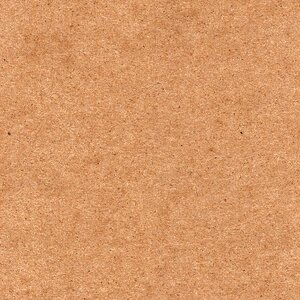 Cardboard file folder