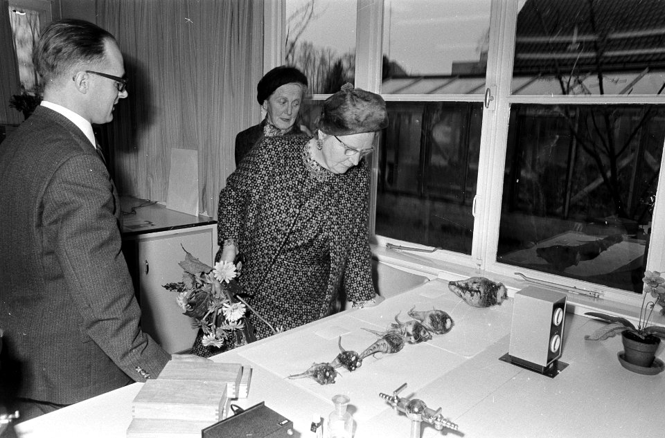 Koningin Juliana op de afdeling Nematologie, Bestanddeelnr 920-8819