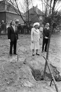 Koningin Juliana bij een pas geplante boom, Bestanddeelnr 924-4824