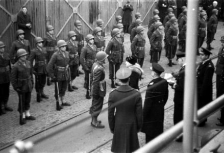 Koningin Wilhelmina inspecteert erewacht, Bestanddeelnr 901-4587