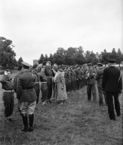 Koningin Wilhelmina heeft in Den Bosch een groot aantal militairen en een burger, Bestanddeelnr 901-8795