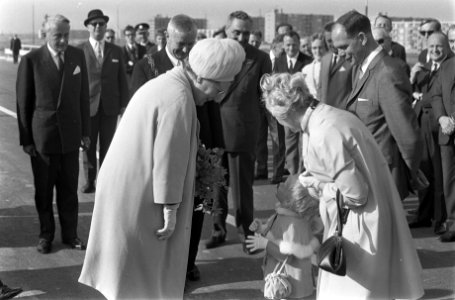 Koningin Juliana ontvangt bloemen, Bestanddeelnr 920-3831
