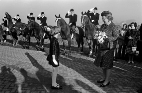 Koningin Juliana ontvangt bloemen van een meisje, Bestanddeelnr 920-8418