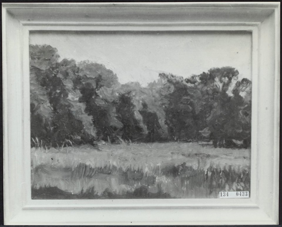 Koningin Wilhelmina, Landschap, Bestanddeelnr 134-0433