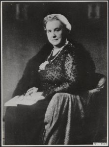 Koningin Wilhelmina, Bestanddeelnr 014-0542