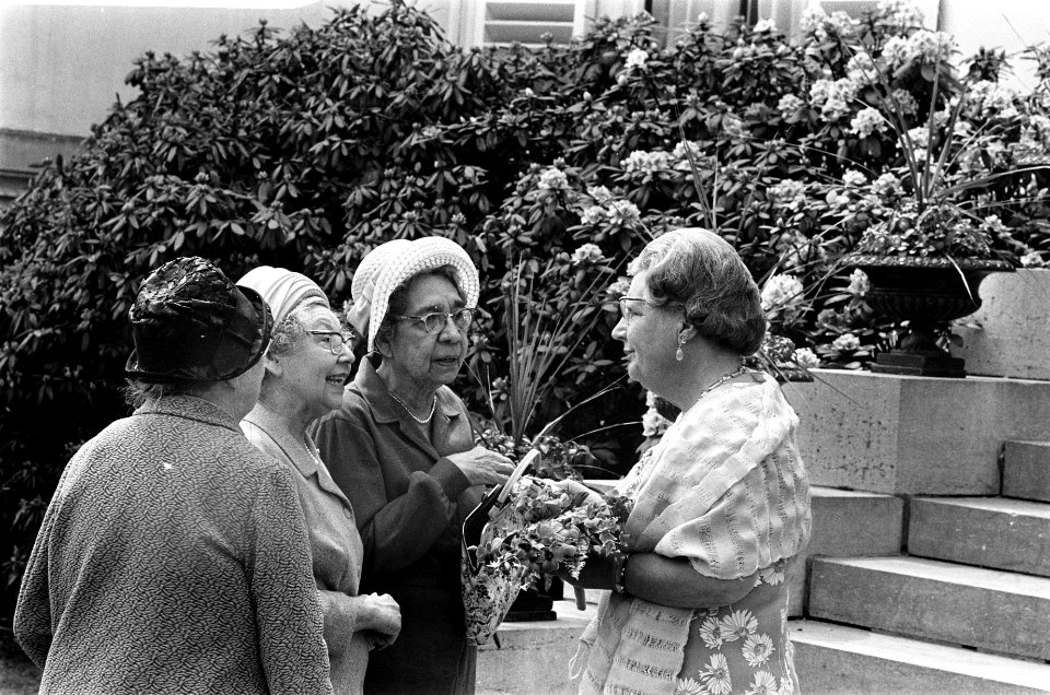 Koningin Juliana wordt gefeliciteerd, Bestanddeelnr 923-6000