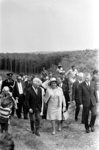 Koningin Juliana wandelt in het buitengebied, Bestanddeelnr 922-5369