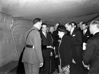 Koningin Wilhelmina in gesprek met Nederlandse kolonialen, Bestanddeelnr 901-9468