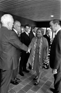 Koningin Juliana wordt begroet, Bestanddeelnr 923-8704