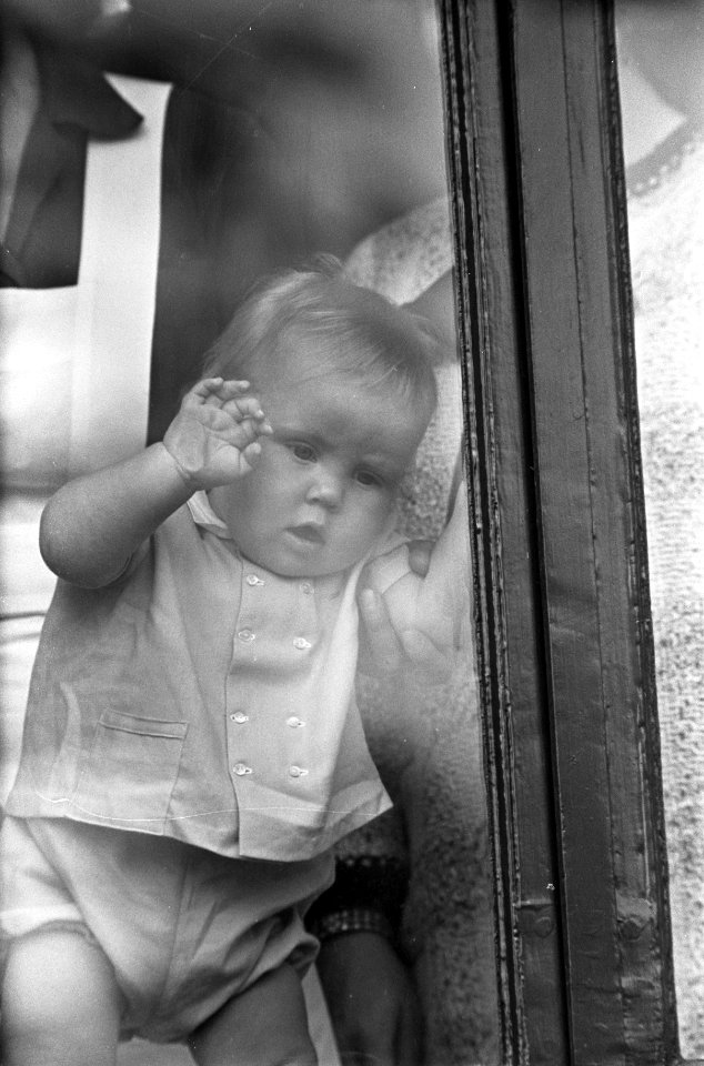 Koninginnedag. Prins Willem Alexander achter venster, Bestanddeelnr 921-3047